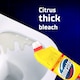 image 3 of Domestos Citrus Bleach 1.25L