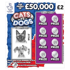 Cats Vs Dogs Scratchcard
