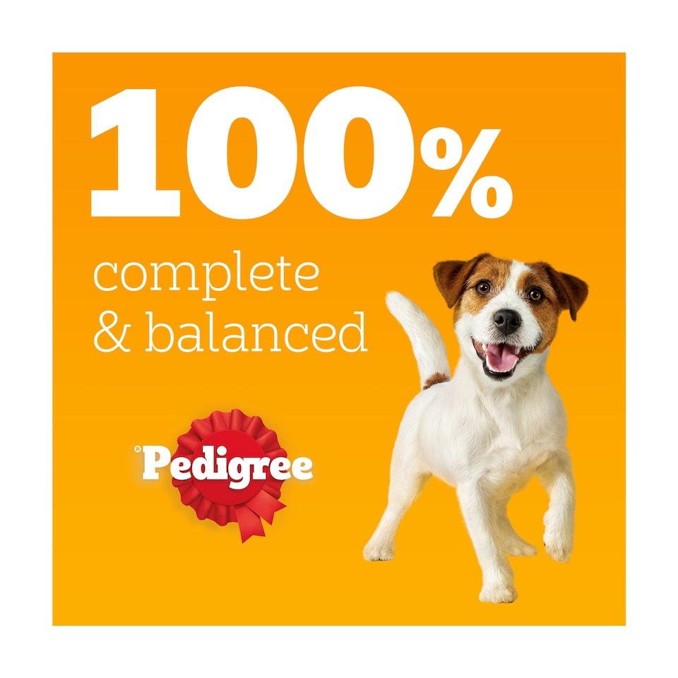 image 1 of Pedigree Adult Wet Dog Food Pouches Poultry in Gravy 12x100g