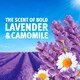 image 2 of Bold Washing Powder Lavender & Camomile 72 Washes 3.6KG