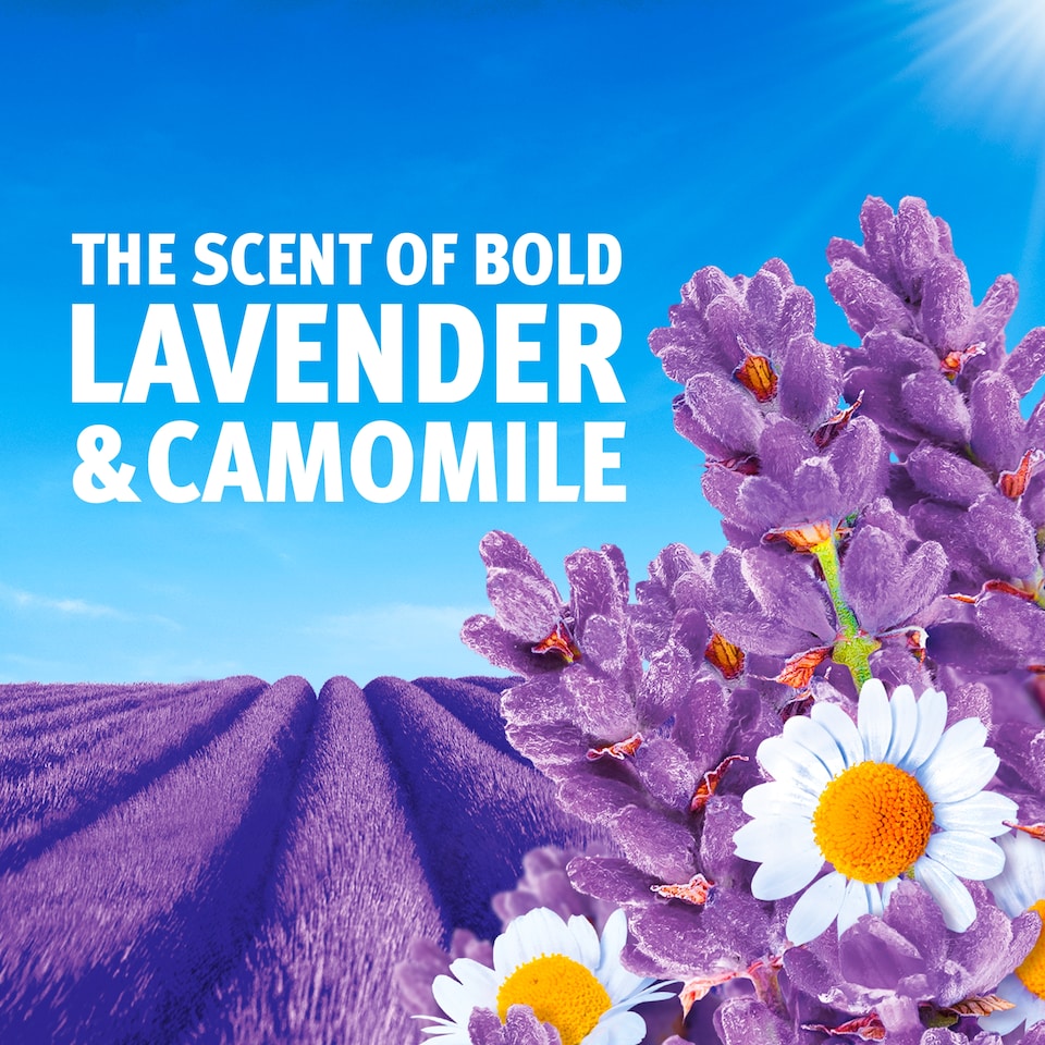 image 1 of Bold Washing Powder Lavender & Camomile 72 Washes 3.6KG