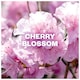 image 2 of Air Wick Pure Aerosol Cherry Blossom Air Freshener 250ml