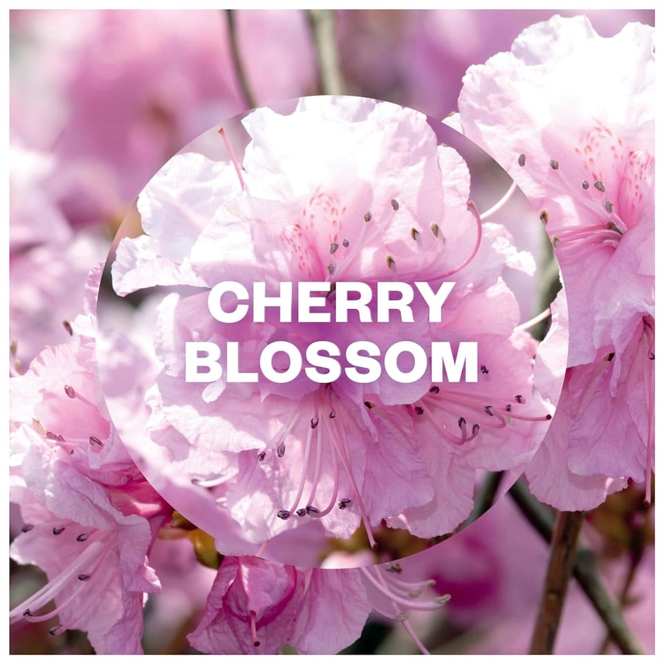 image 1 of Air Wick Pure Aerosol Cherry Blossom Air Freshener 250ml