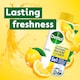 image 2 of Dettol Antibacterial Limescale Washing Machine Cleaner Citrus 250ml