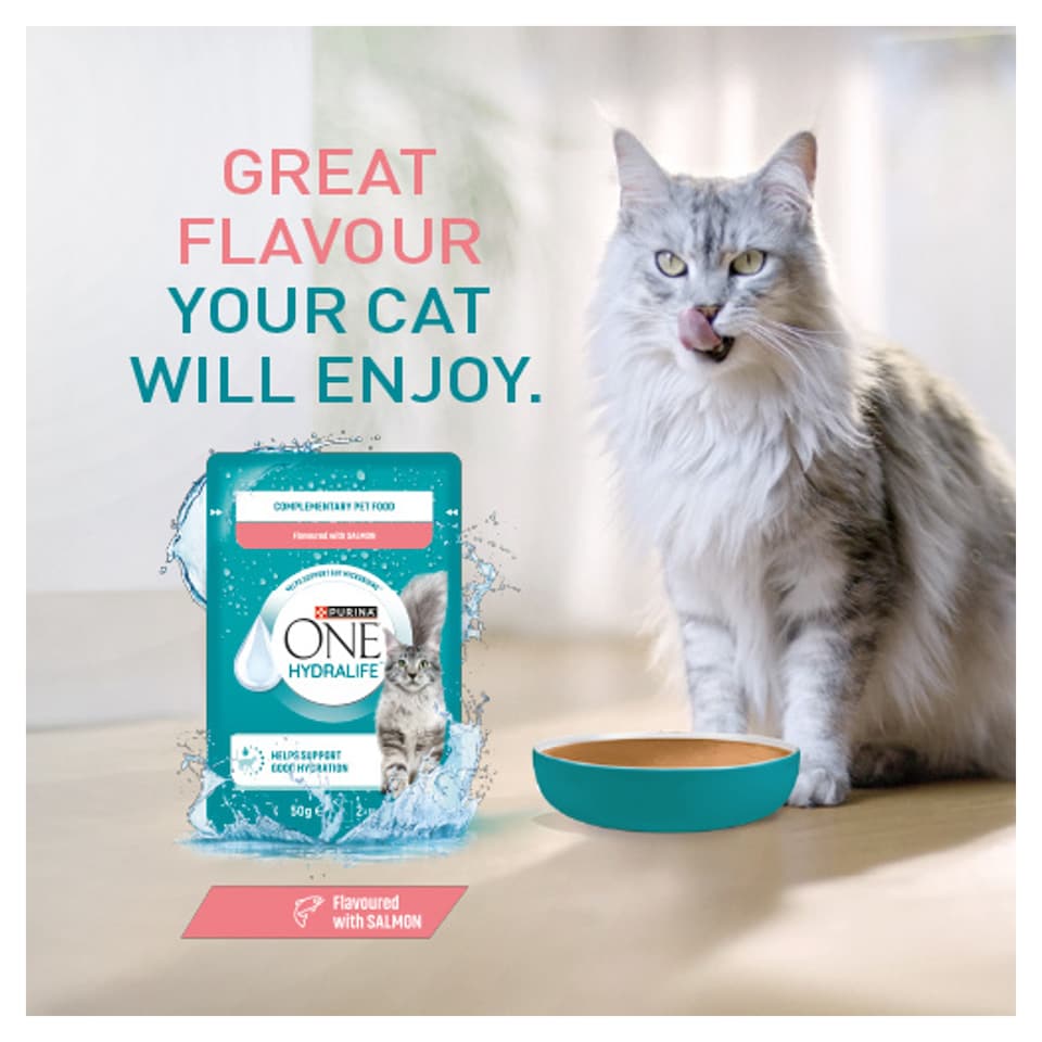 image 1 of Purina ONE HYDRALIFE with Salmon Cat Compliment 6x50g