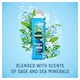 image 2 of Radox Muscle Soak Bath Soak Bubble Bath 500ml