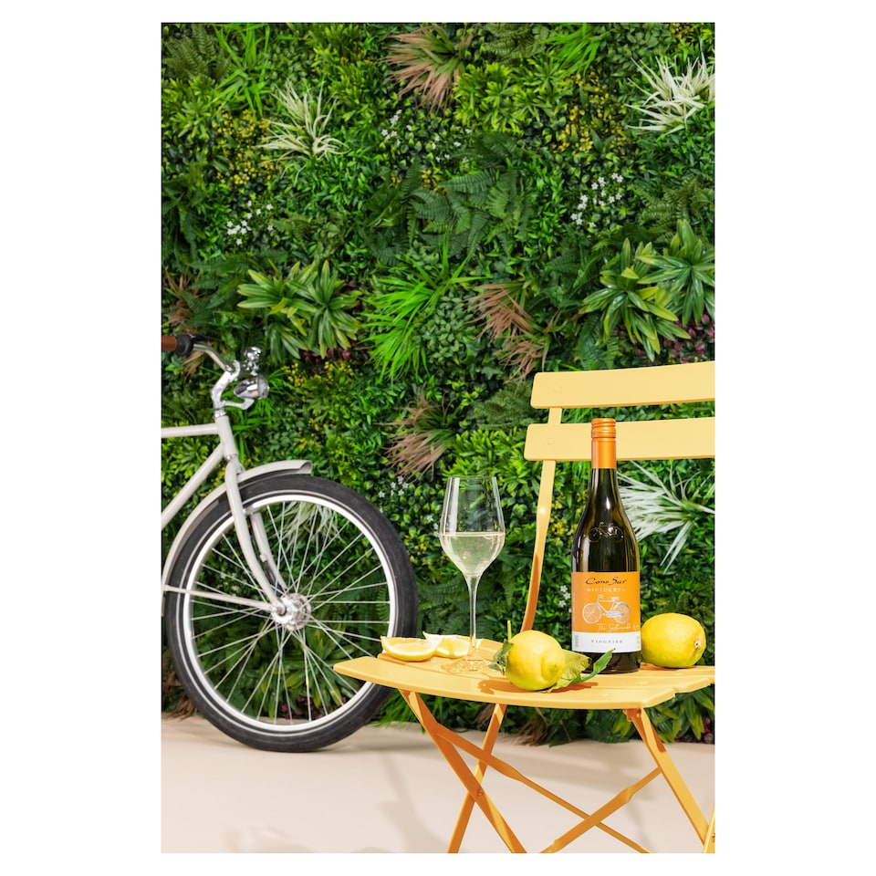 image 1 of Cono Sur Bicicleta Viognier 75Cl