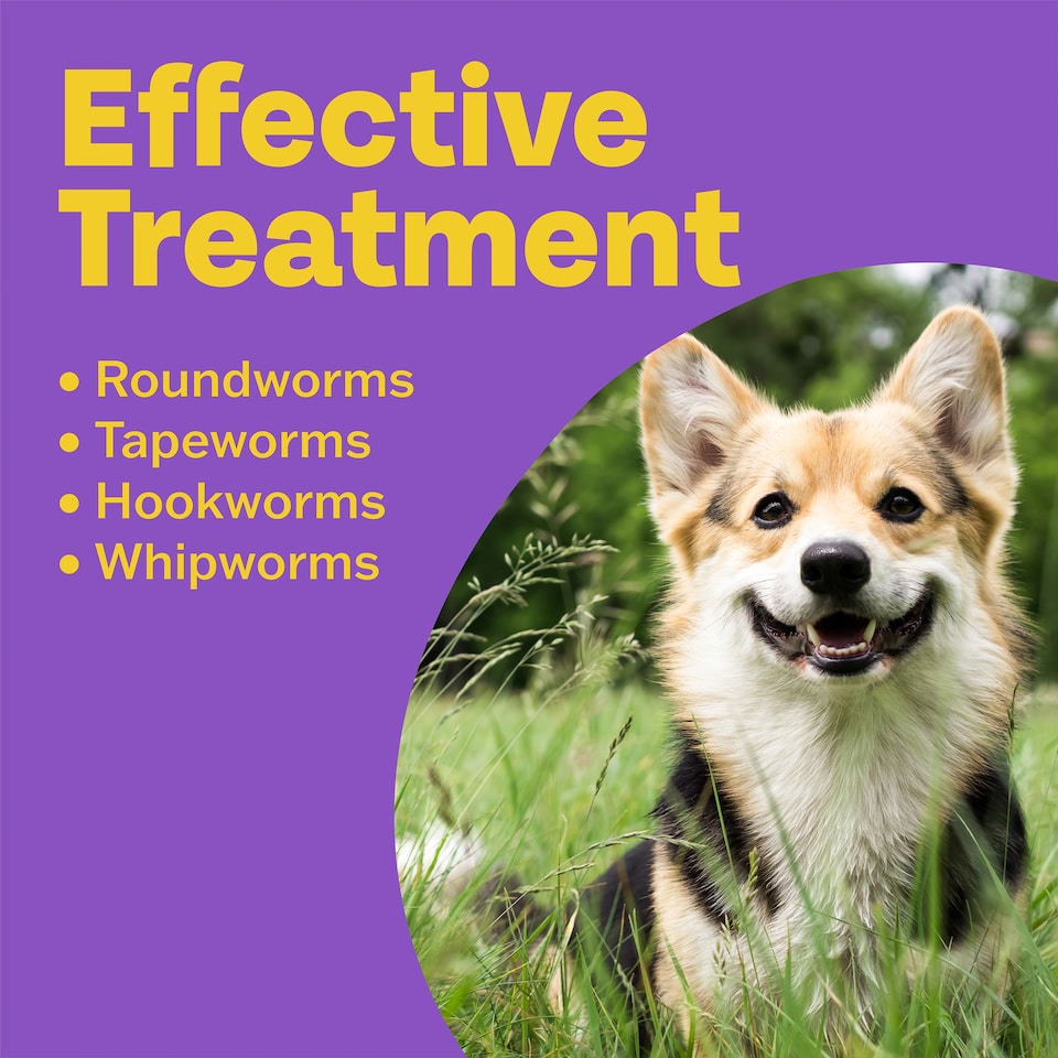 image 1 of Bob Martin Clear 3 In 1 Wormer Dog 2 Tablets Pack