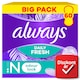 image 1 of Always Dailies Normal Fresh & Protect Panty Liners  x60