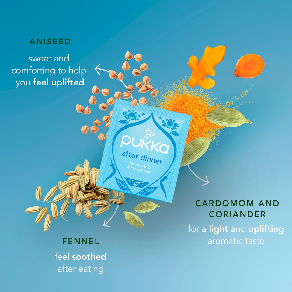 image 1 of Pukka Organic After Dinner Tea With Fennel for Digestion 20 Herbal Tea Bags 40g