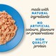 image 3 of Applaws Natural Wet Cat Food Fish Selection in Jelly Pouches 12 x 70g