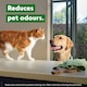 image 2 of Dettol Homes with Pets Laundry Sanitiser Fresh Breeze 750ml