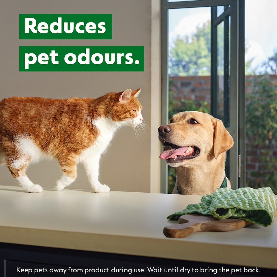 image 1 of Dettol Homes with Pets Laundry Sanitiser Fresh Breeze 750ml