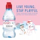 image 2 of Evian Natural Mineral water 12x330ml