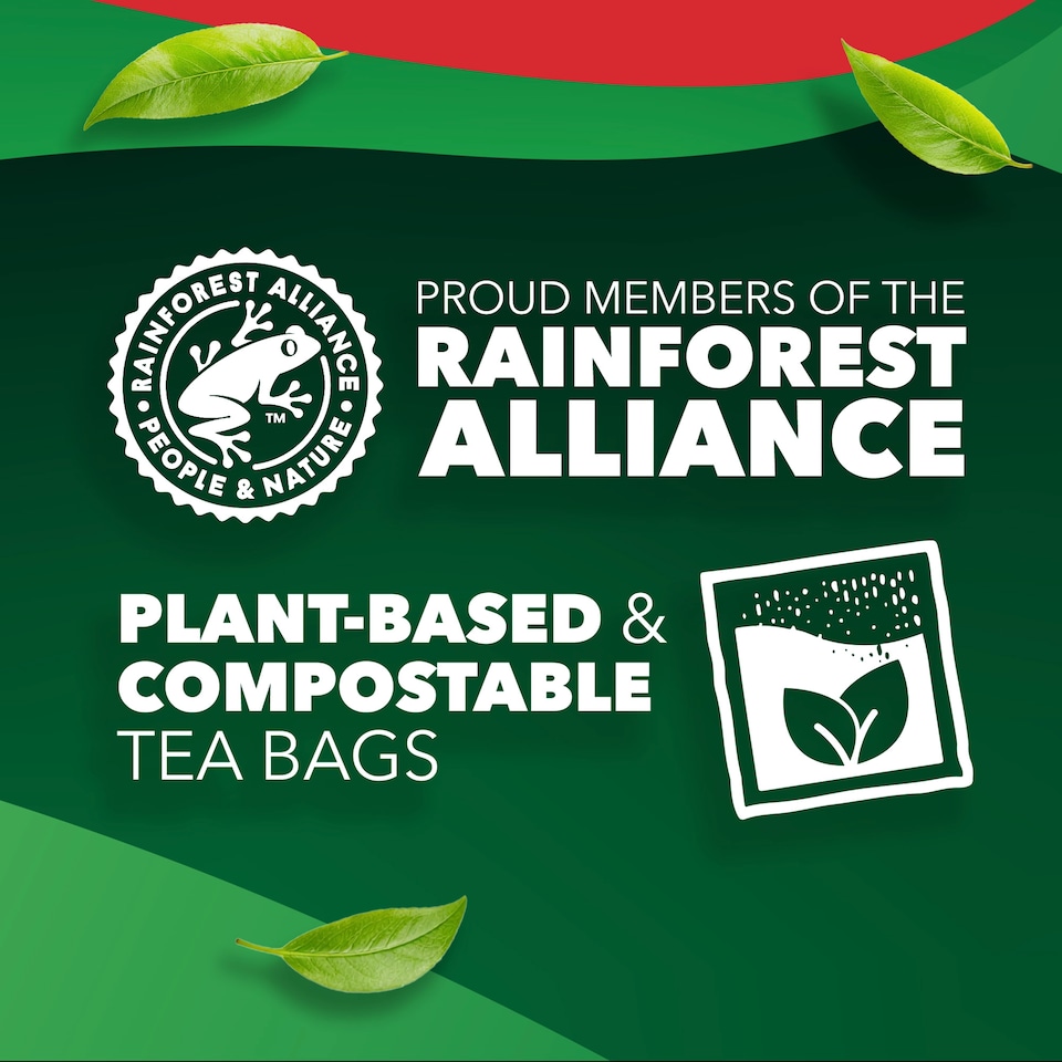 image 1 of PG Tips Original Black Tea 80 Tea Bags 232g