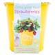 image 2 of Easter Grow Your Own Flowers Strawberry / Sunflower Assortment