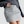 Black, F&F Boucle Textured Sequin Embellished Mini Skirt in Black
