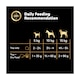 image 5 of Cesar Senior Wet Dog Food Trays Meat in Delicate Jelly 8 x 150g