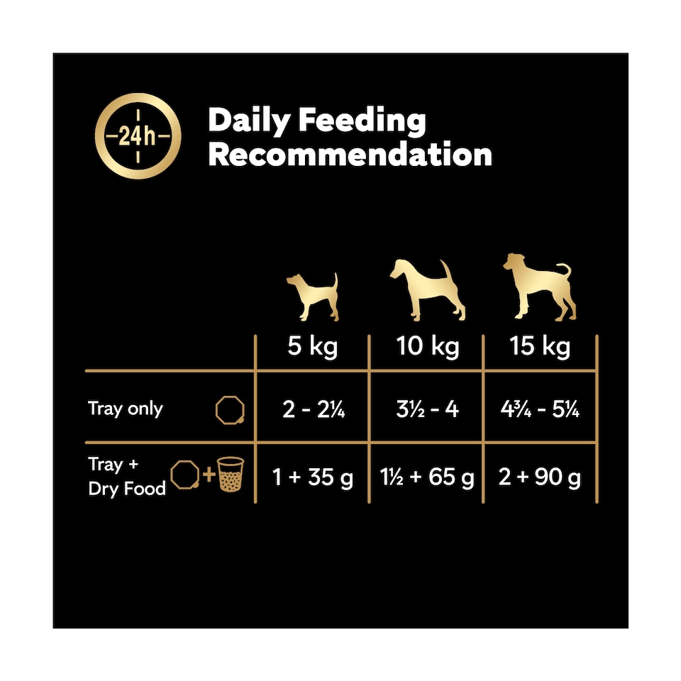 image 1 of Cesar Senior Wet Dog Food Trays Meat in Delicate Jelly 8 x 150g
