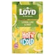 obrázok 1 z Loyd Hot'n Cold bylinno-ovocný čaj s mätou a citrónovo-limetkovou príchuťou 15 x 2 g (30 g)