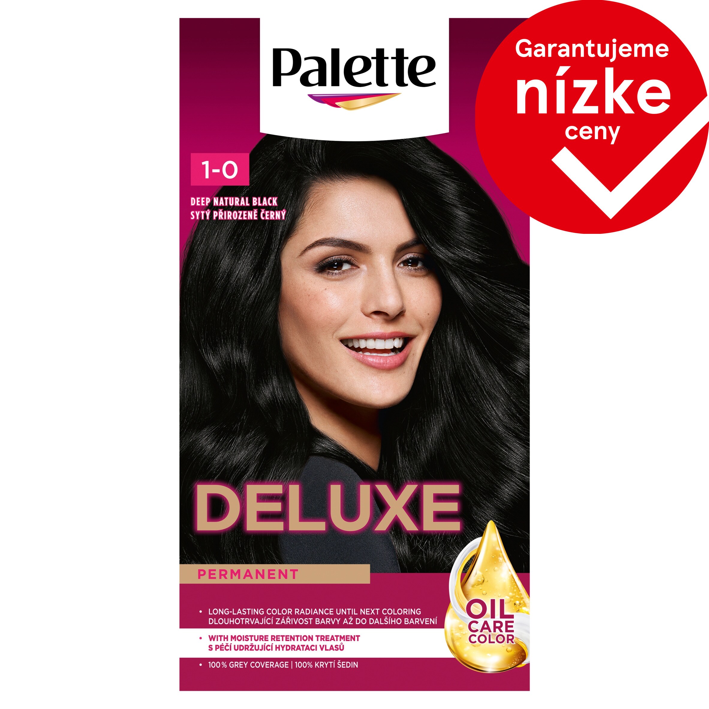 Palette Deluxe Hair Color Deep Natural Black 1-0 - Tesco Groceries