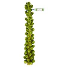 Tesco Brussels Sprouts Stalk