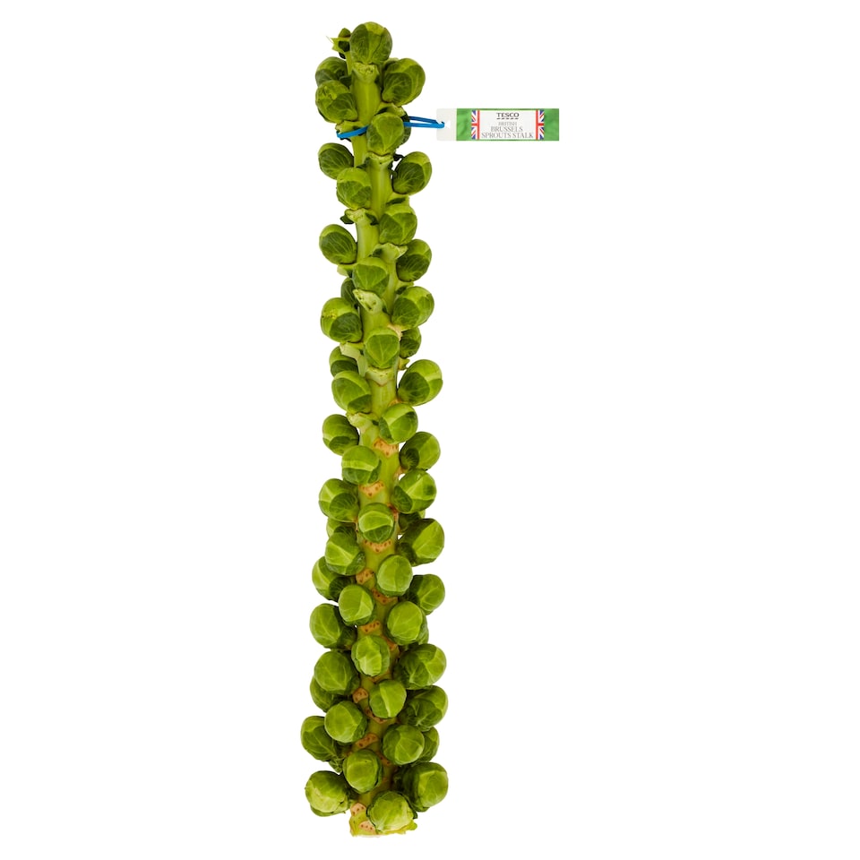 Tesco Brussels Sprouts Stalk