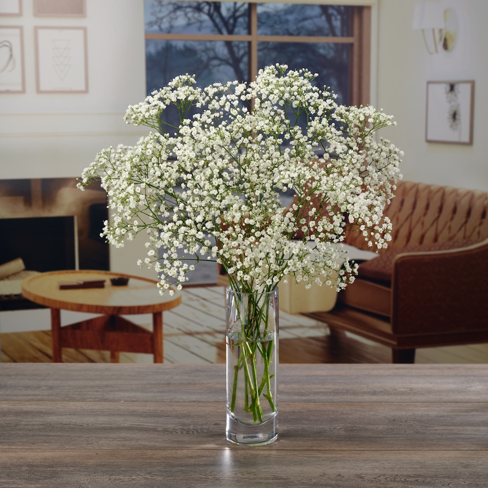 image 1 of Seasonal Fillers