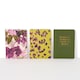 image 2 of Paperchase Tropic Like its Hot A6 Notebooks 3 pack