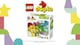 obrázok 2 z LEGO DUPLO 10479 Farebný kreatívny box s kockami