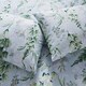 image 4 of Silentnight Supersoft Wisteria Duvet Set King