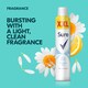 image 3 of Sure Women Cotton Antiperspirant Deodorant 300Ml