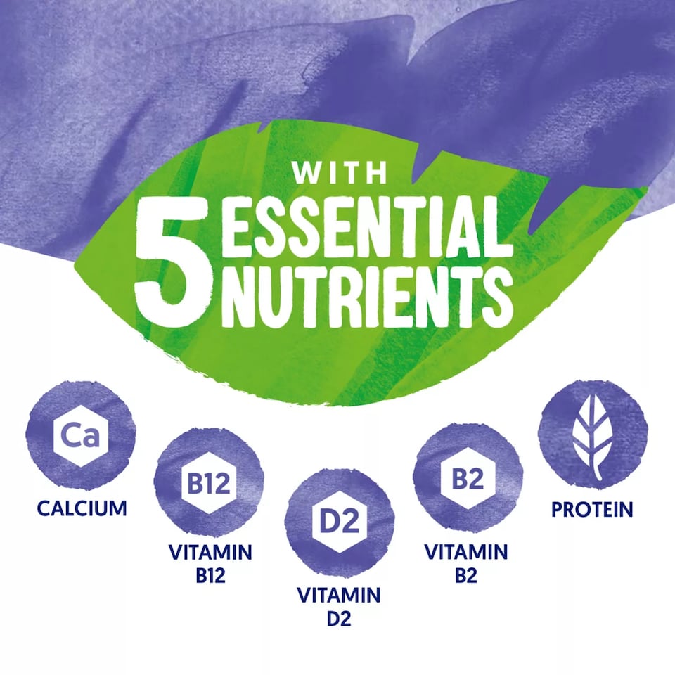 image 1 of Alpro Blueberry Dairy Free Soya Yoghurt Alternative 500g