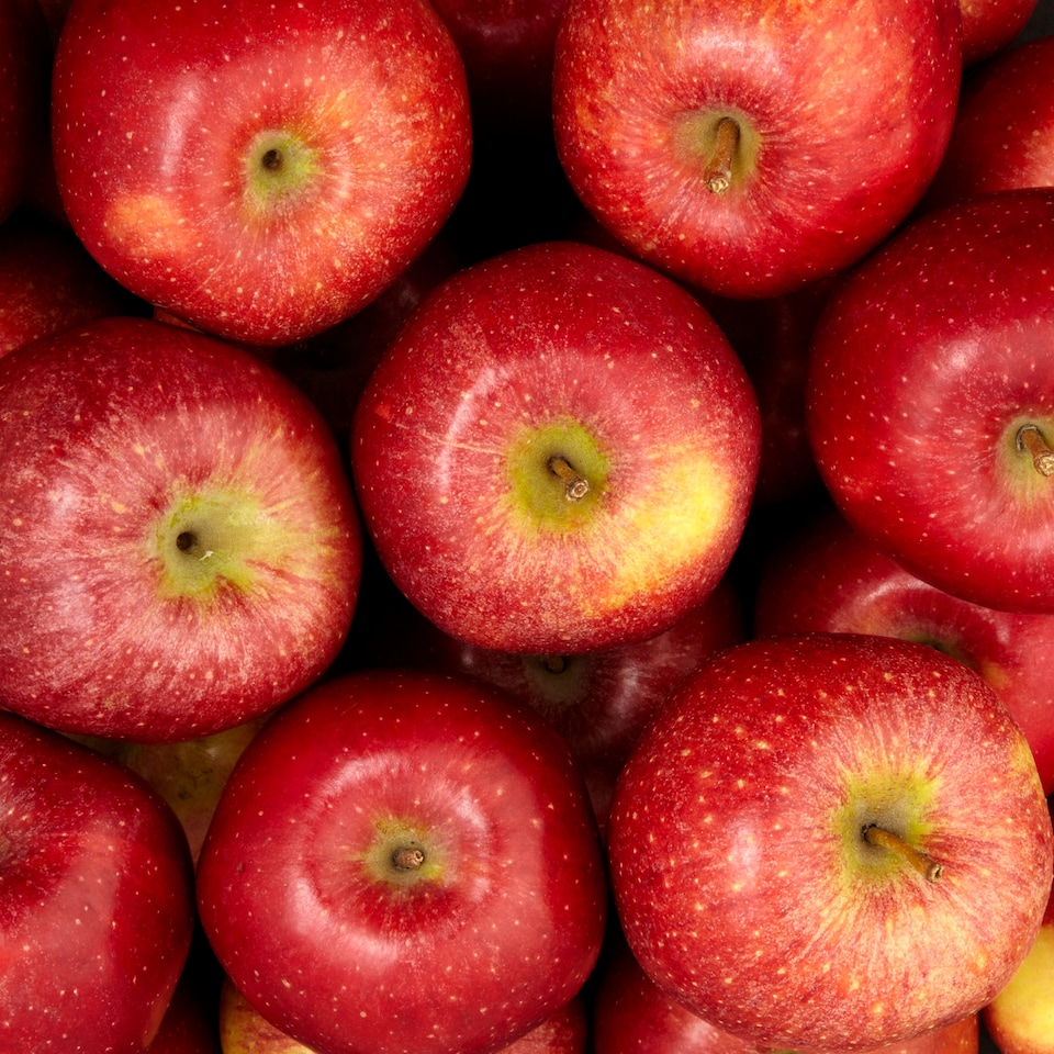 image 1 of Large Braeburn Apples Loose Class 1