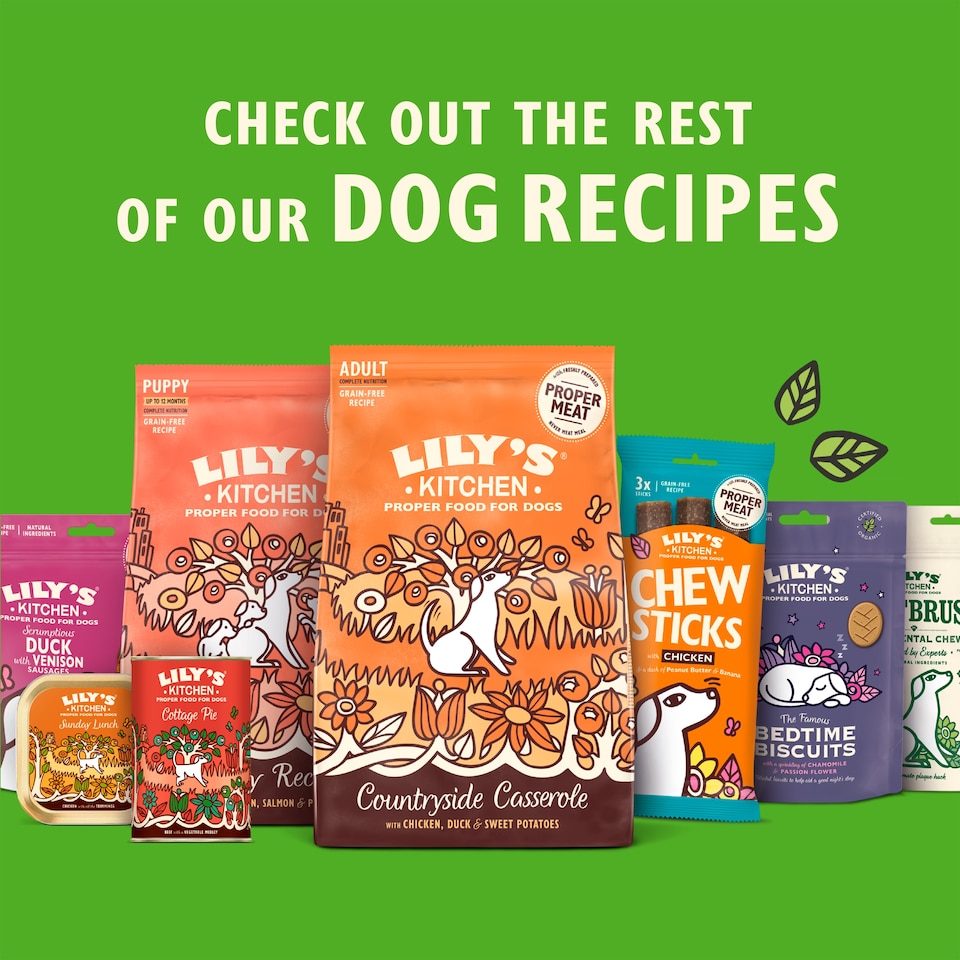 image 1 of Lily's Kitchen Fish and Chips with Potatoes and Dill for Dogs 150g