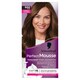 Obrázek 1 pro produkt Schwarzkopf Perfect Mousse barva na vlasy Oříšek 668 (6-68)