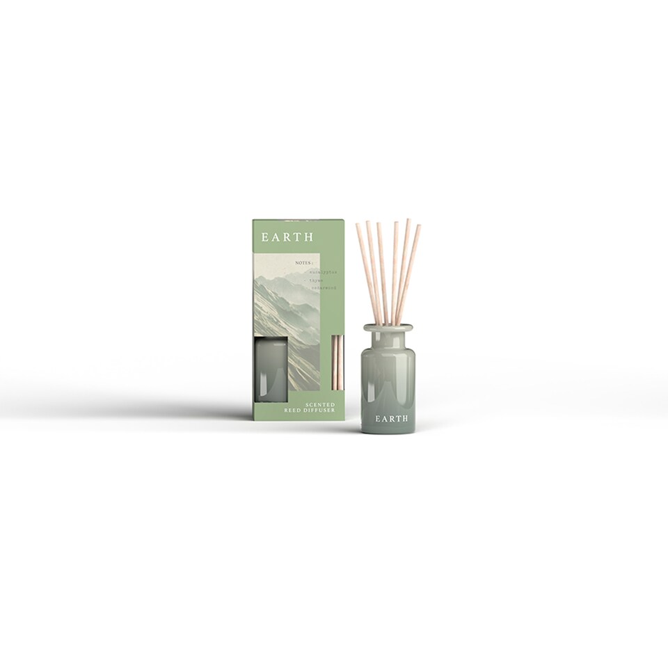 F&F Home Elements Earth Diffuser 100ml