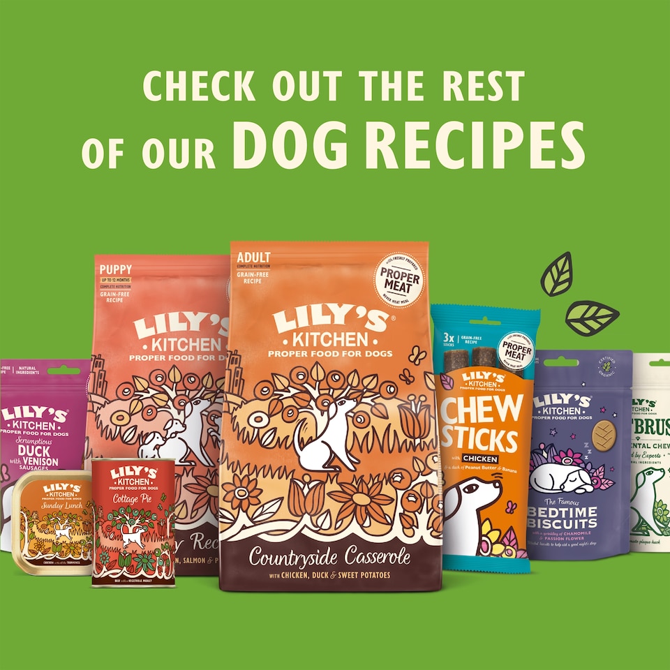 image 1 of Lily's Kitchen Training Treats with Chicken & Beef for Dogs 70g