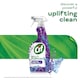 image 5 of Cif Multipurpose Spray Lavender & Blue Fern 750ml