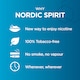 image 5 of Nordic Spirit Mint Regular 6Mg Pouches X 20