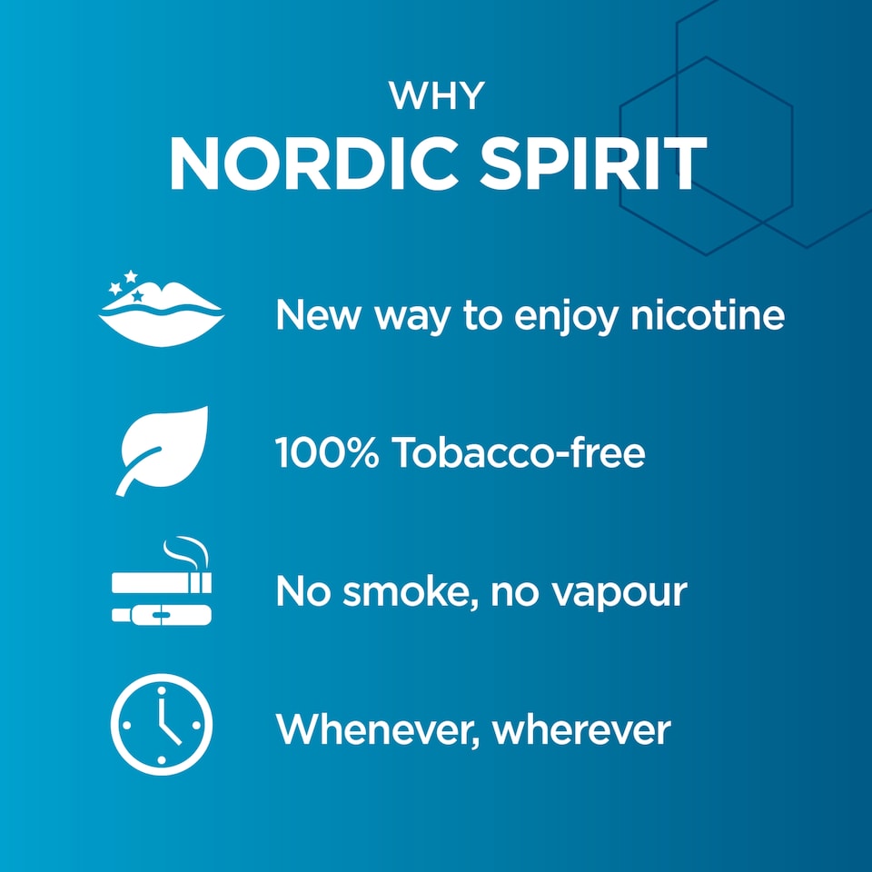 image 1 of Nordic Spirit Mint Regular 6Mg Pouches X 20