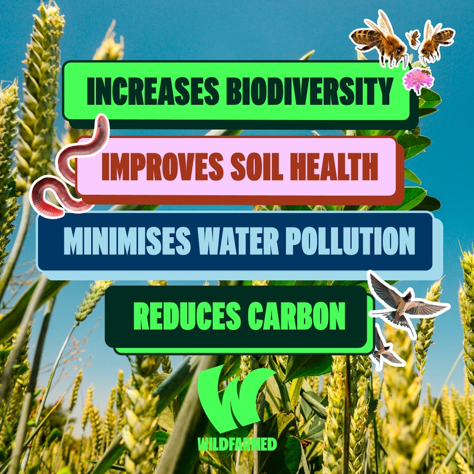 image 1 of Wildfarmed Plain Flour 1kg