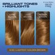 image 2 of Clairol Ncen/Esy Lightest Golden Brown 6.5G Hair Dye