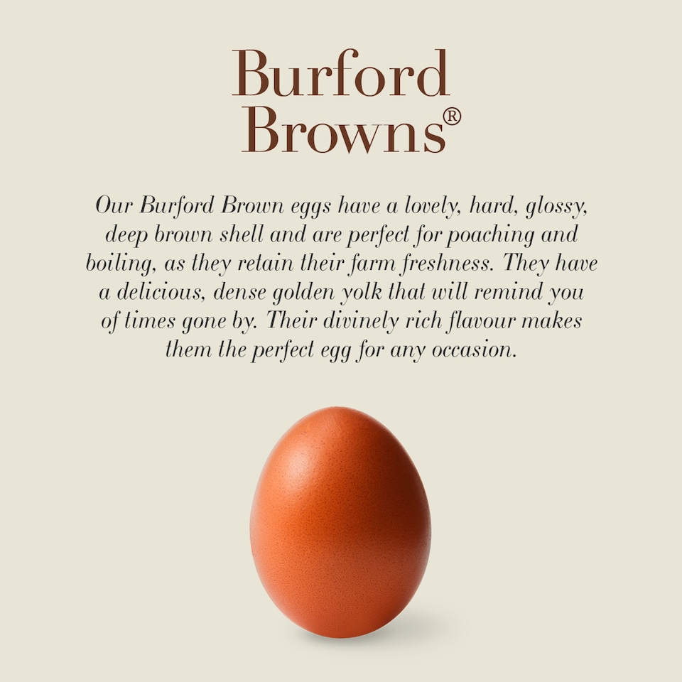 image 1 of Clarence Court Burford Brown 10 Large Free Range Eggs