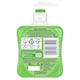 image 2 of Carex Handwash Aloe Vera 250Ml