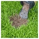 image 2 of Miracle Gro Patch Magic 1Kg