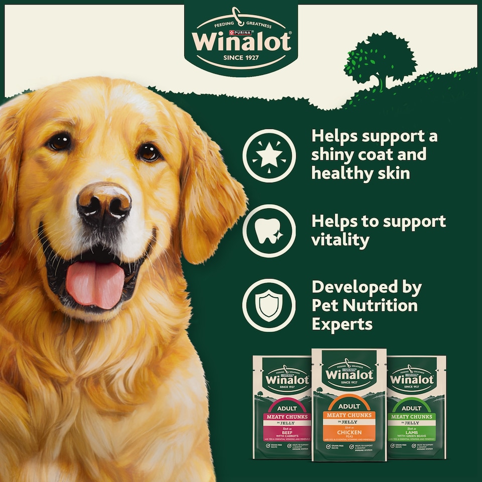image 1 of WINALOT Meaty Chunks Mixed in Jelly Wet Dog Food 40x100g