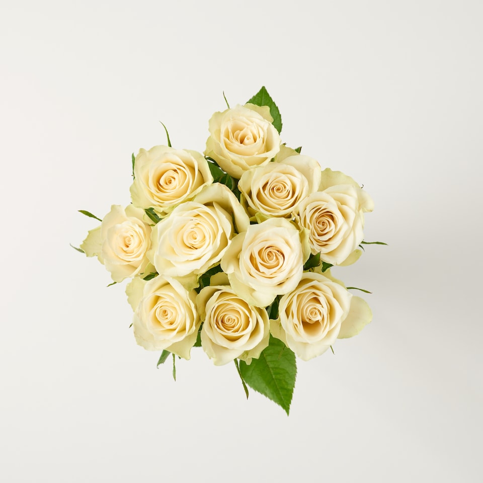image 1 of Tesco Small White Roses Bouquet