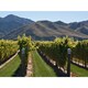 image 3 of Villa Maria Private Bin Rose 75Cl