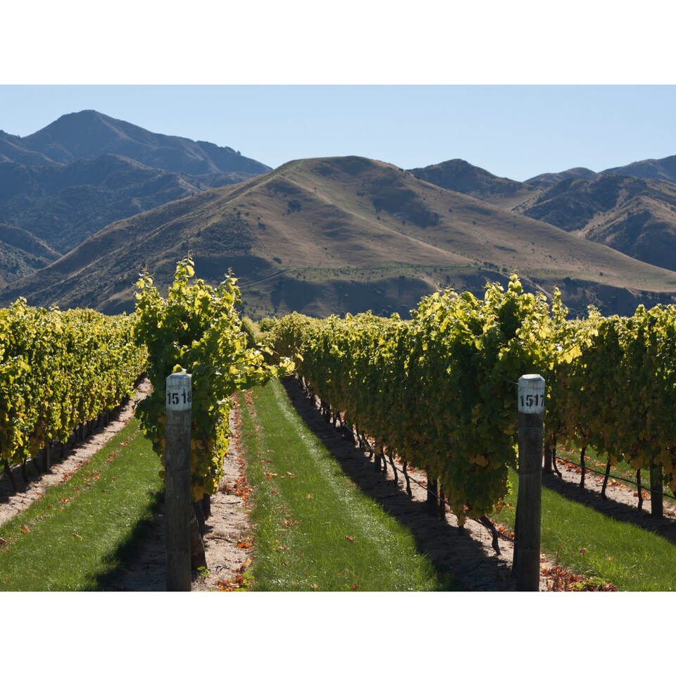 image 1 of Villa Maria Private Bin Rose 75Cl